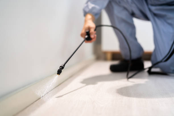 Licensed Termite Control service in Hellertown, PA - Nex Pest Control