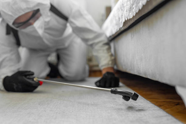 Professional Termite Control technician working in Hellertown, PA