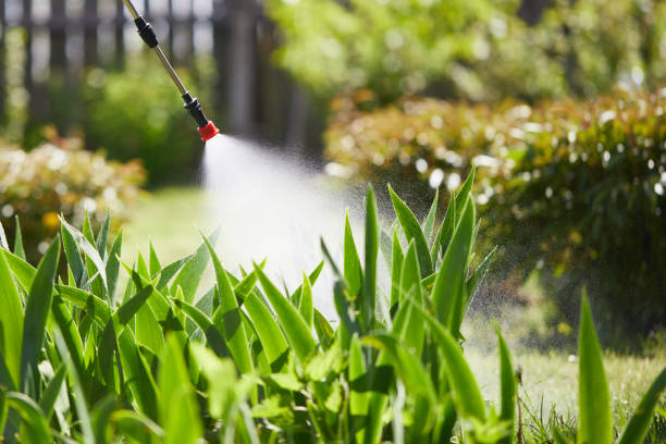24/7 Emergency Termite Control experts in Hellertown, PA