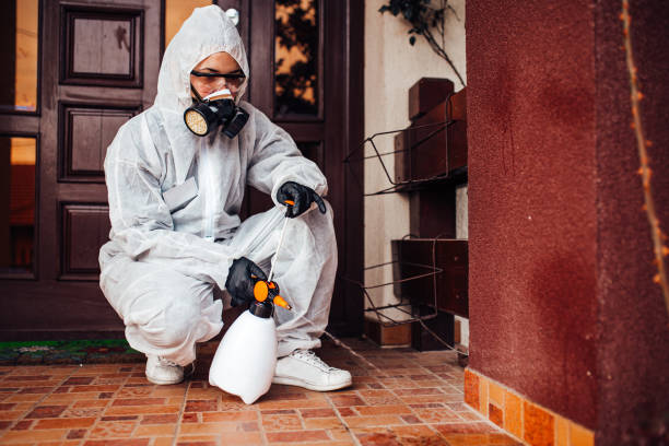 Reliable Termite Control contractor in Hellertown, PA by Nex Pest Control