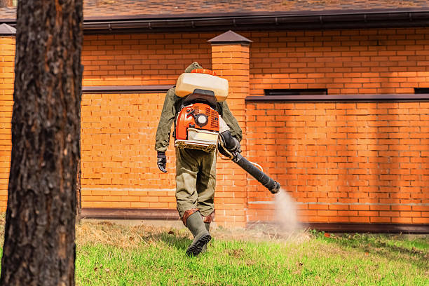 Trusted Bed Bug Control service in Hellertown, PA - Nex Pest Control